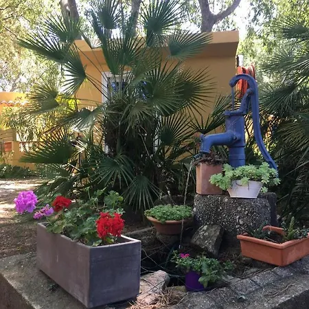 Gites de la Massane Argelès-sur-Mer Extérieur photo