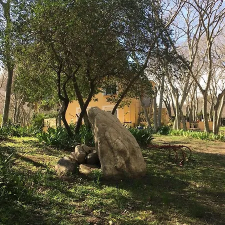 Gites de la Massane Argelès-sur-Mer Extérieur photo