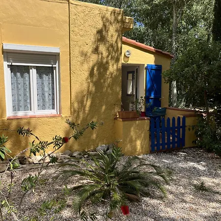 Gites de la Massane Argelès-sur-Mer Chambre photo