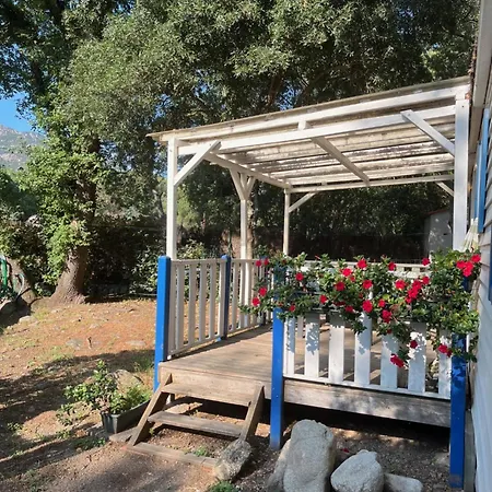 Gites de la Massane Argelès-sur-Mer Chambre photo