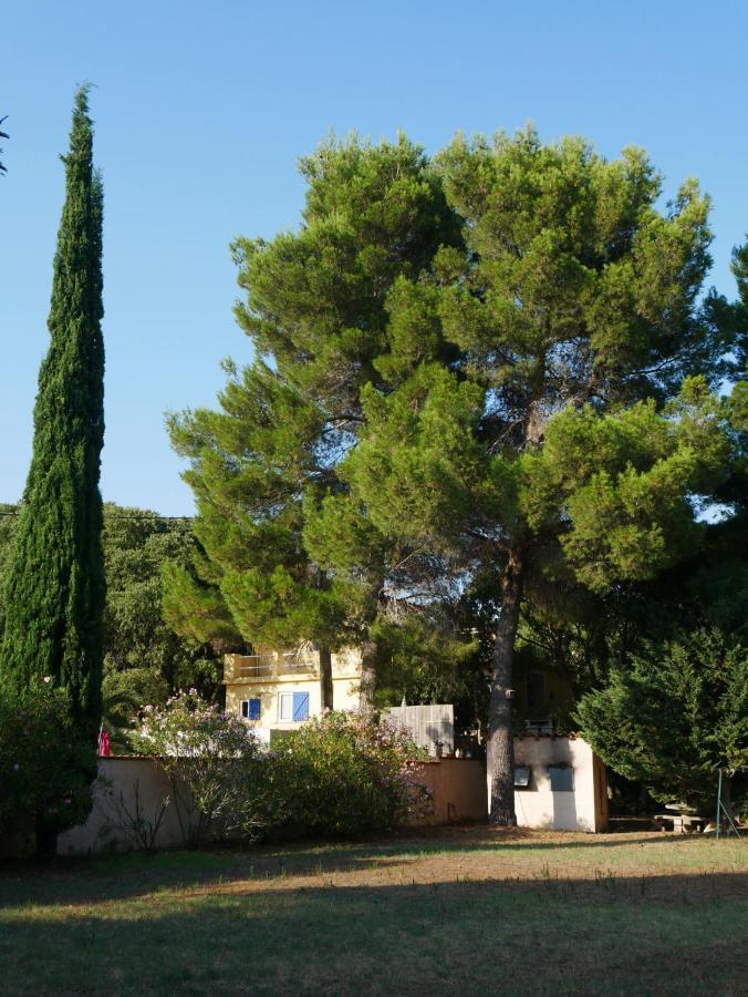 Apartment De La Massane