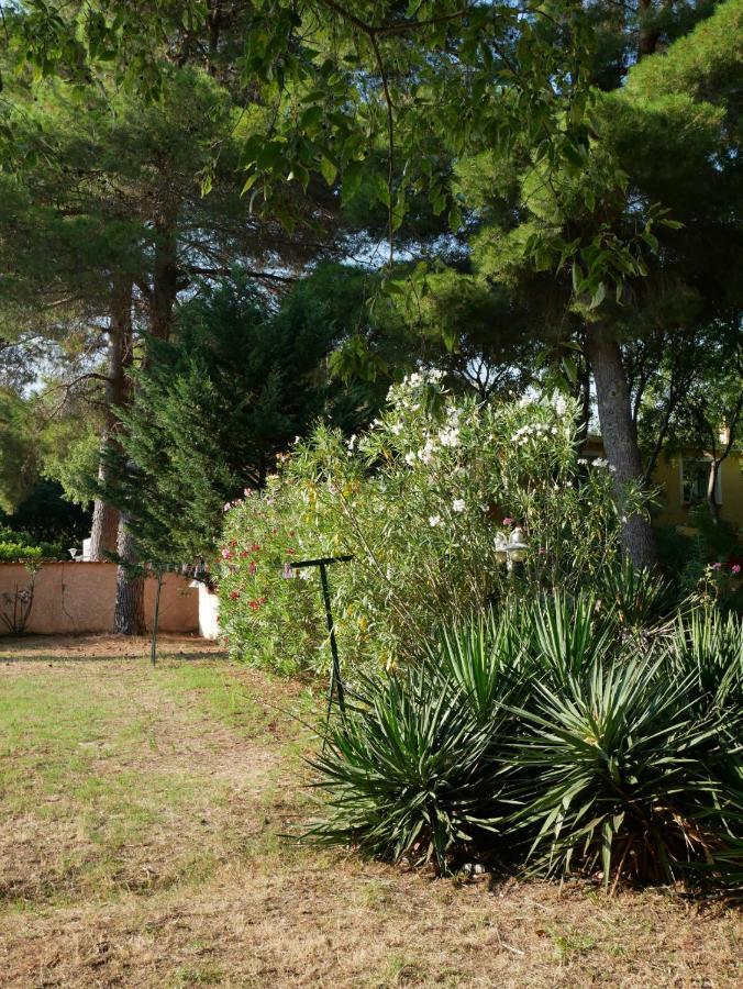 De La Massane * Argeles-sur-Mer