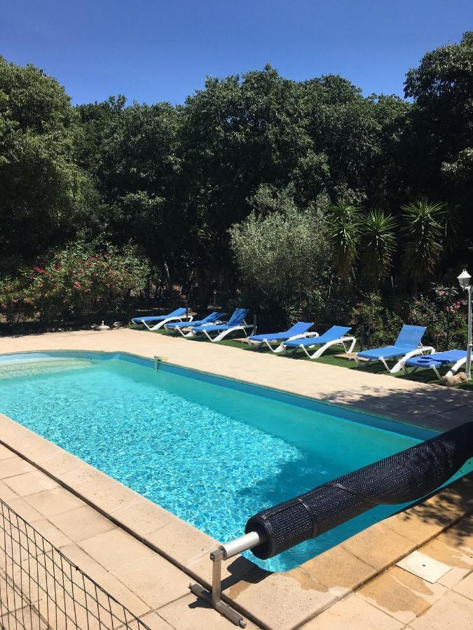 Apartment De La Massane Argelès-sur-Mer