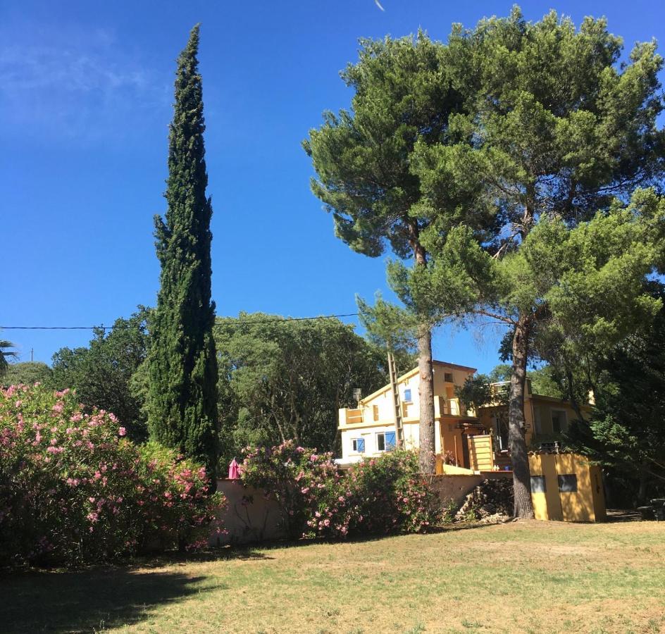 De La Massane * Argelès-sur-Mer