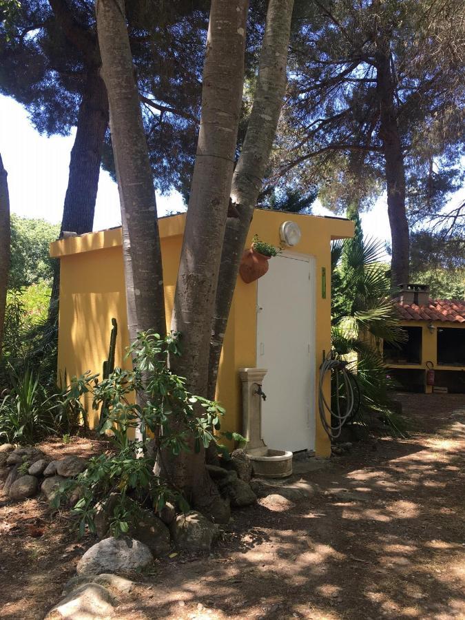 De La Massane Argelès-sur-Mer