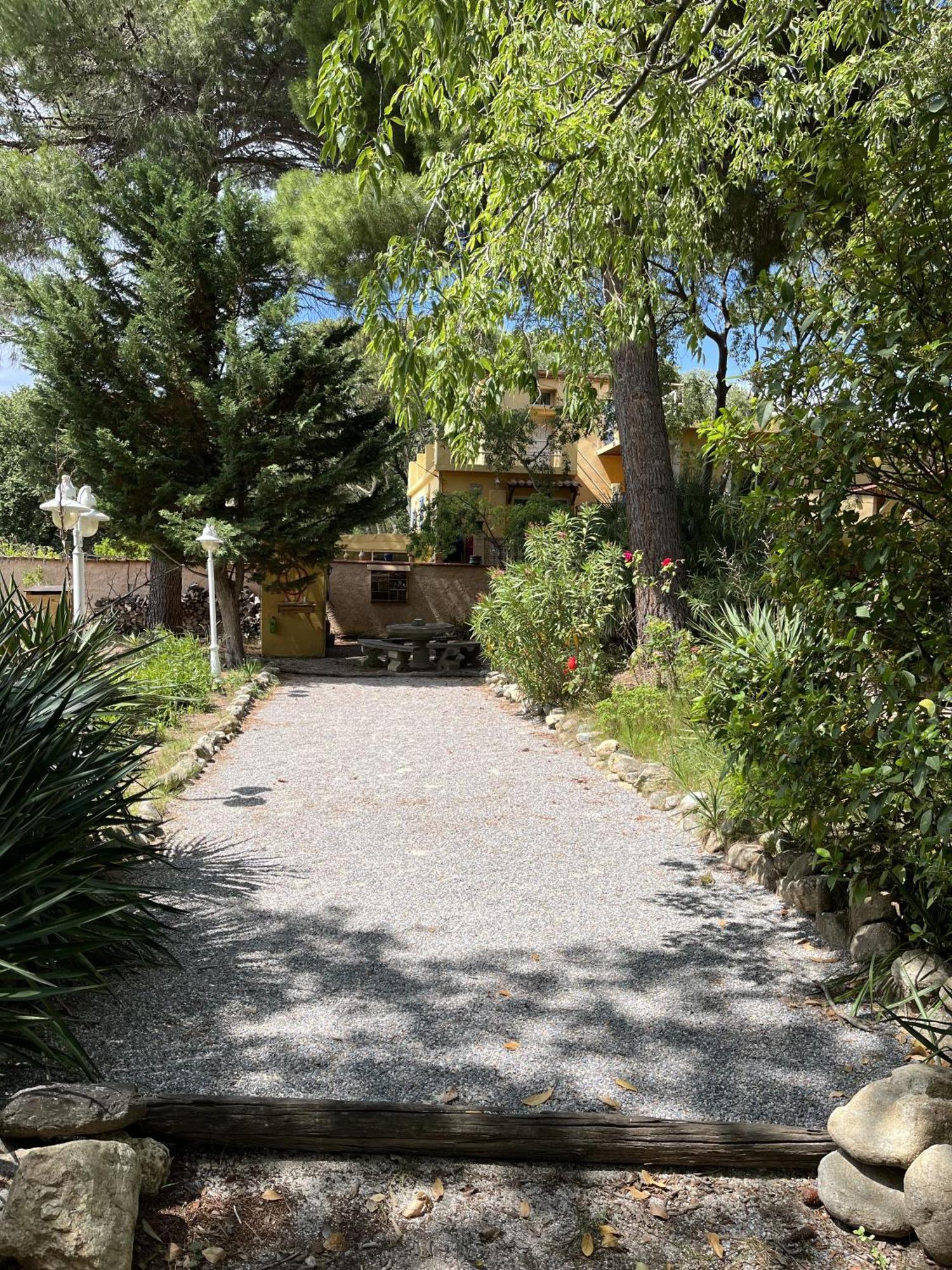 De La Massane *